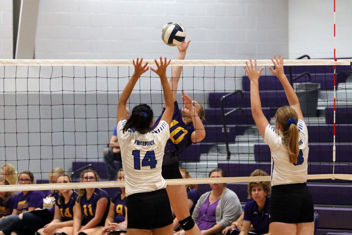 Hampton VB Tri (24).JPG